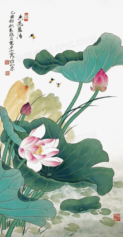 手绘荷花
