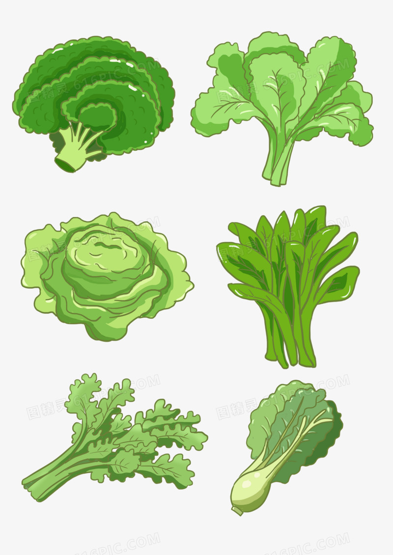 一组手绘卡通绿叶菜套图合集元素