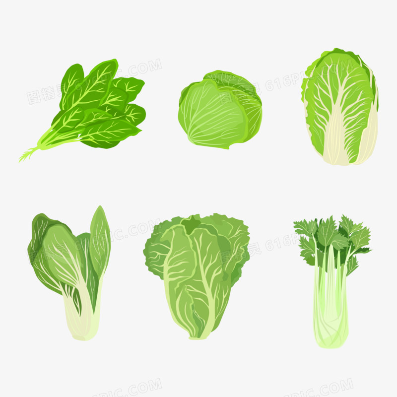 一组绿色蔬菜合集元素