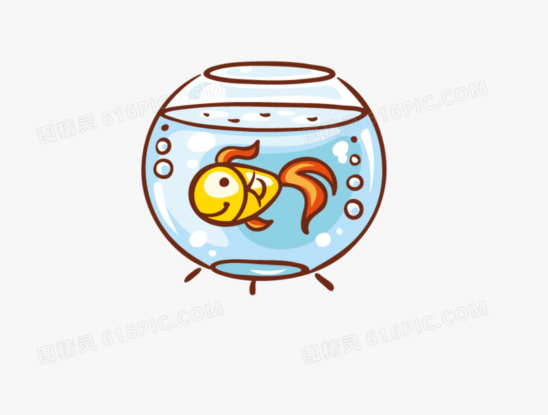 鱼缸中的小金鱼