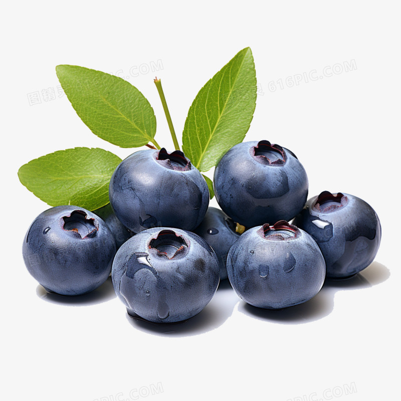 蓝莓水果摘采免抠元素