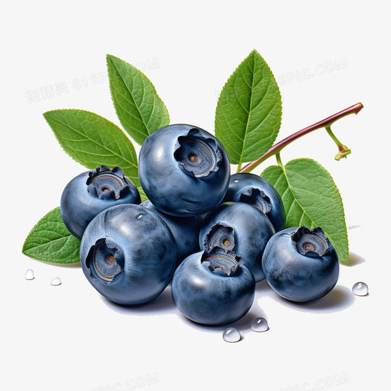 蓝莓水果食物免抠元素