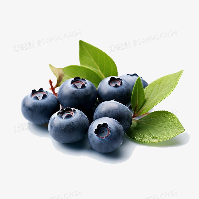 蓝莓水果绿叶免抠元素