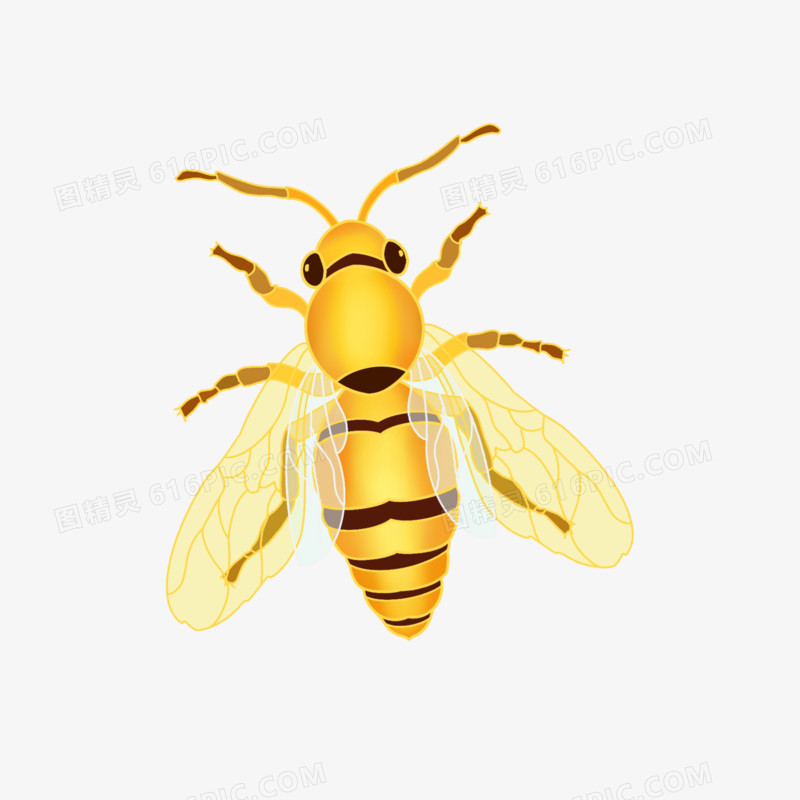 蜜蜂手绘插画元素