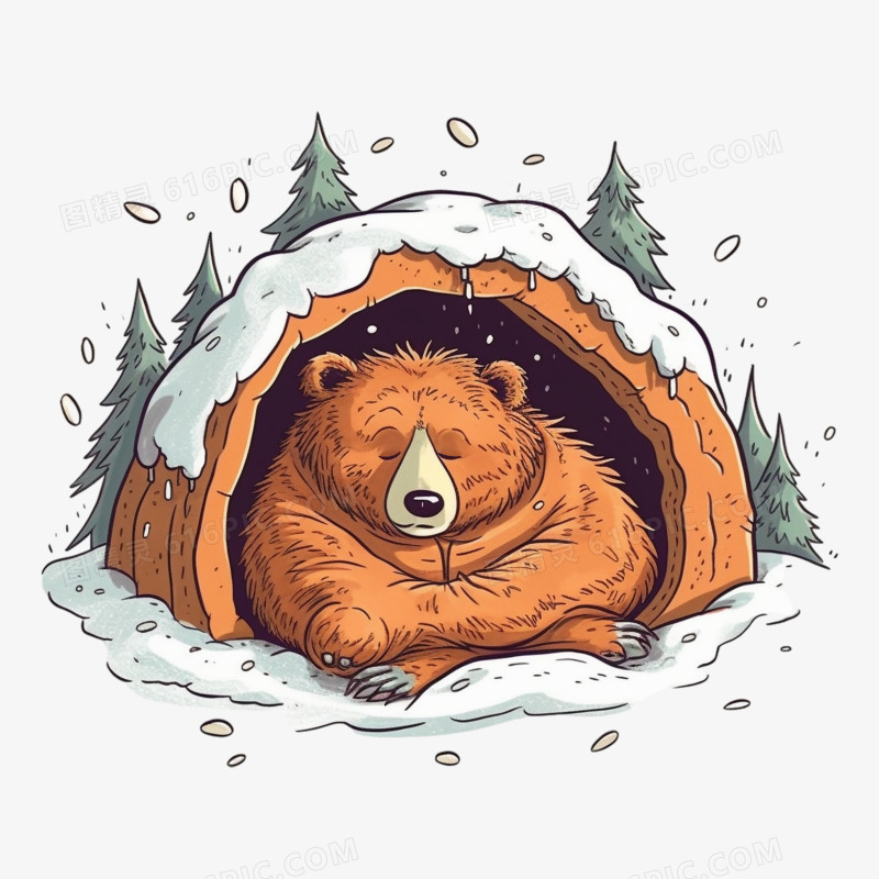 冬眠的熊冬眠的动物插画