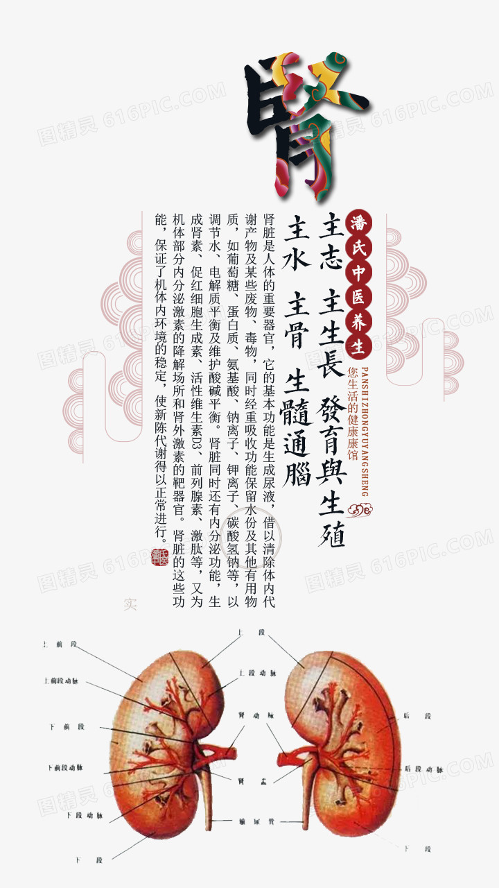 中医养生海报