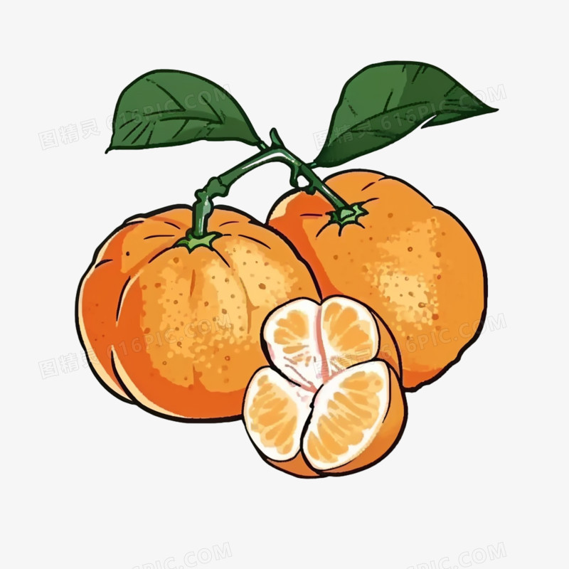 砂糖橘插画免抠元素