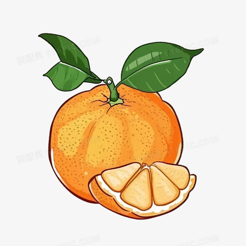 砂糖橘插画免抠元素