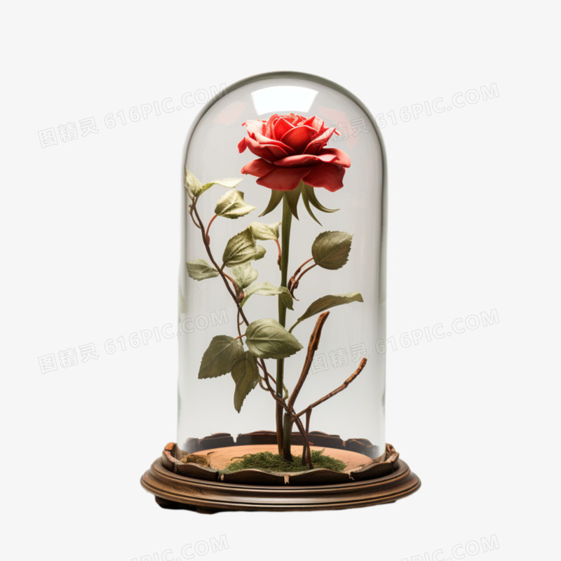 玻璃罩种的玫瑰花免抠元素