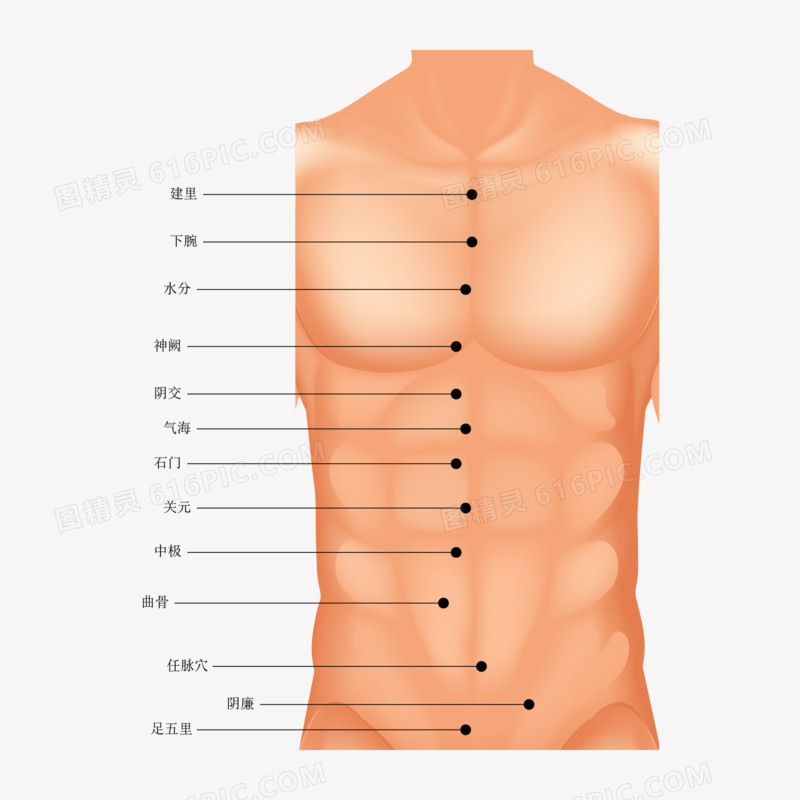 一组矢量人体穴位合集素材二