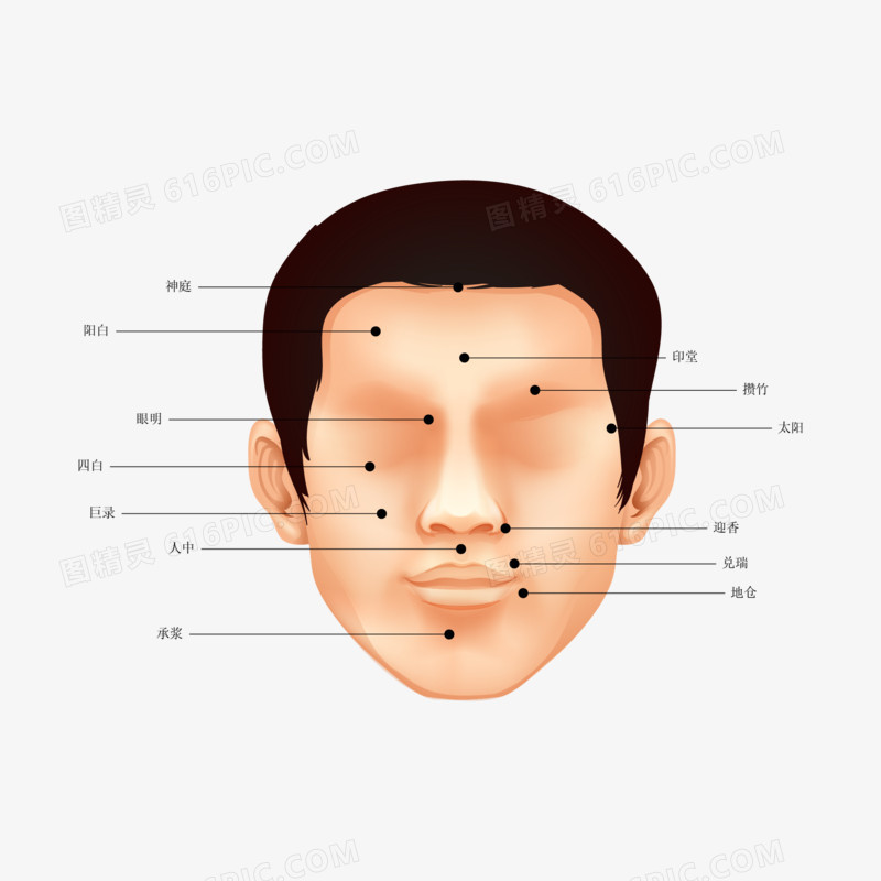 一组矢量人体穴位合集素材四