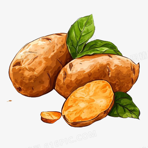 插画香甜红薯地瓜