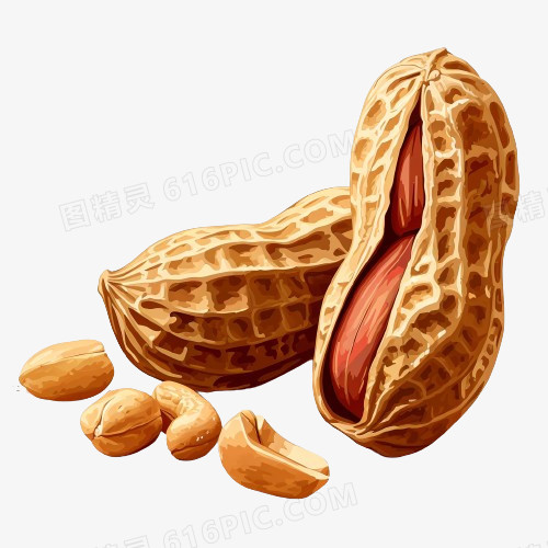 插画点心坚果花生