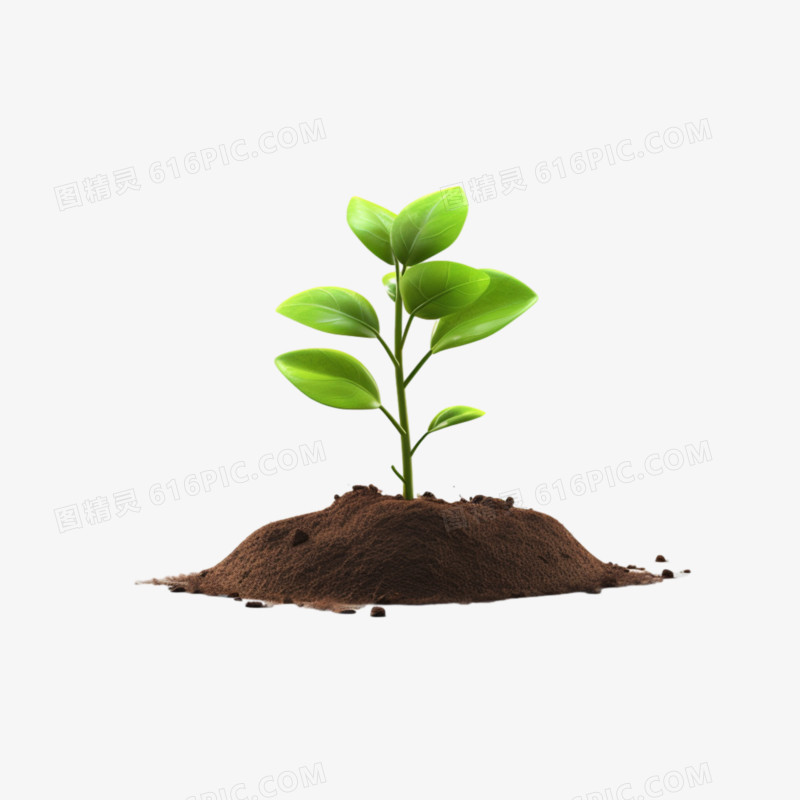 3D树苗再土壤生长免抠元素