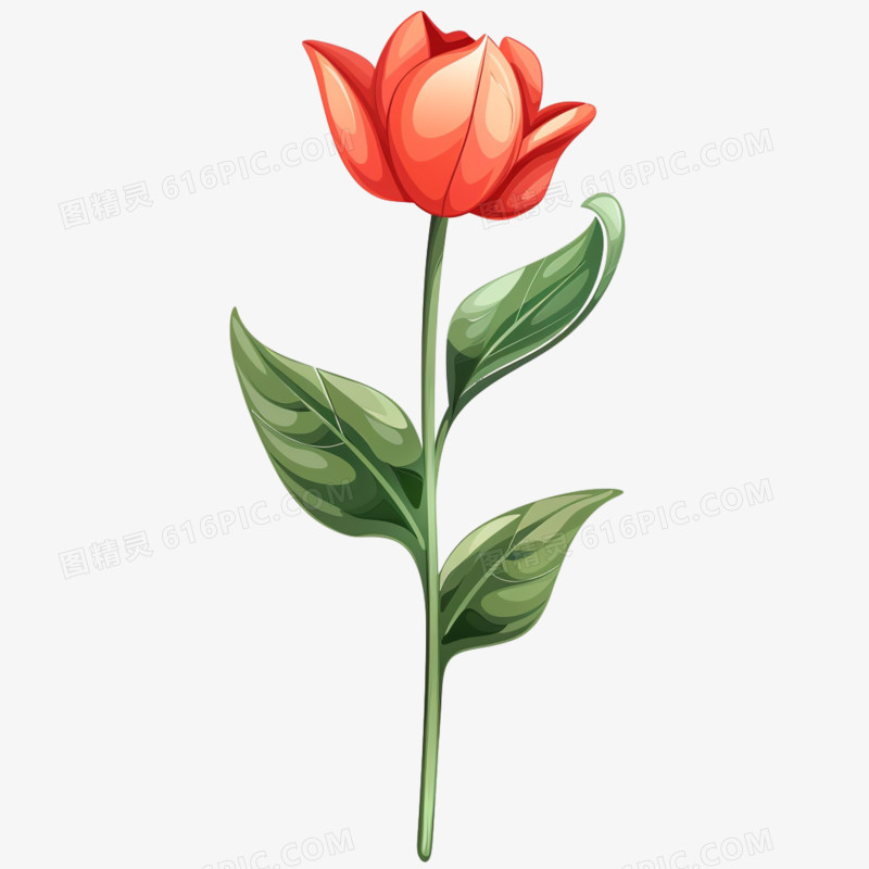 单个花朵免抠元素