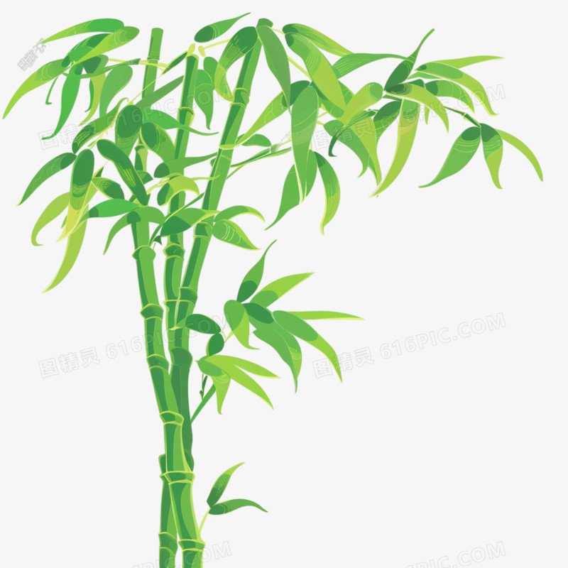 竹林竹叶免抠元素