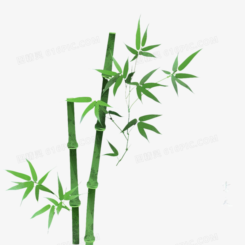 竹林竹叶免抠元素