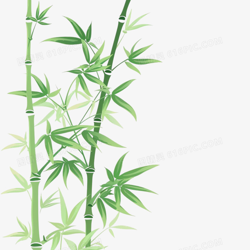 竹林竹叶免抠元素