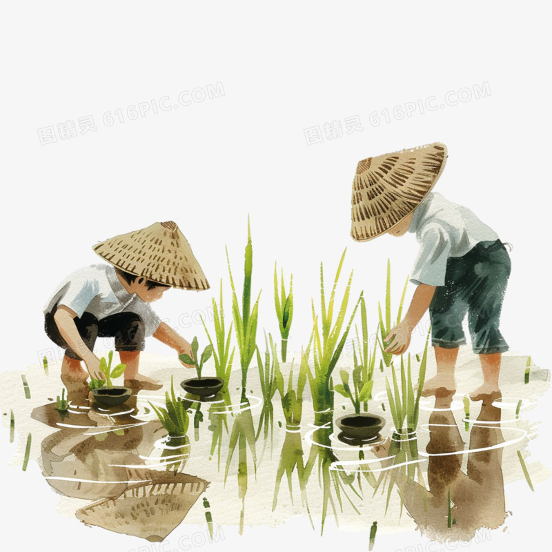 春天农民在田地里种植水稻卡通元素