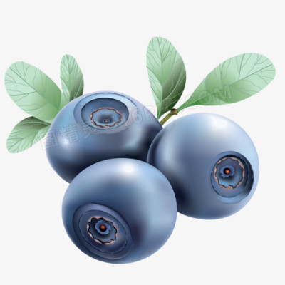 鼠绘蓝莓