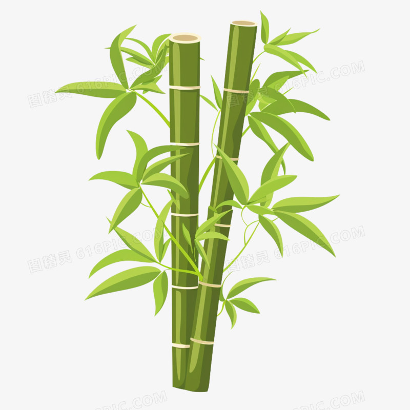 端午节竹子传统节日免抠元素