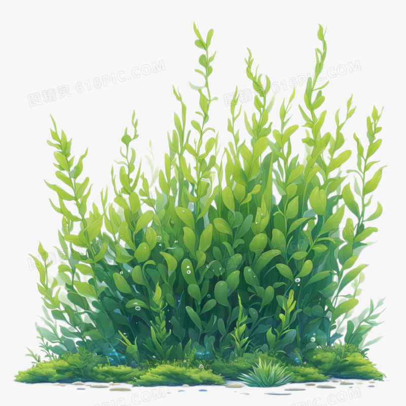 卡通风海洋日海洋植物海藻群免抠元素