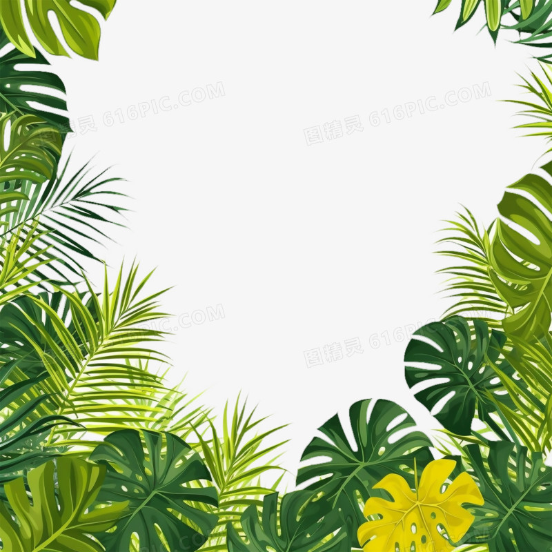 夏日清凉植物边框插画免抠元素