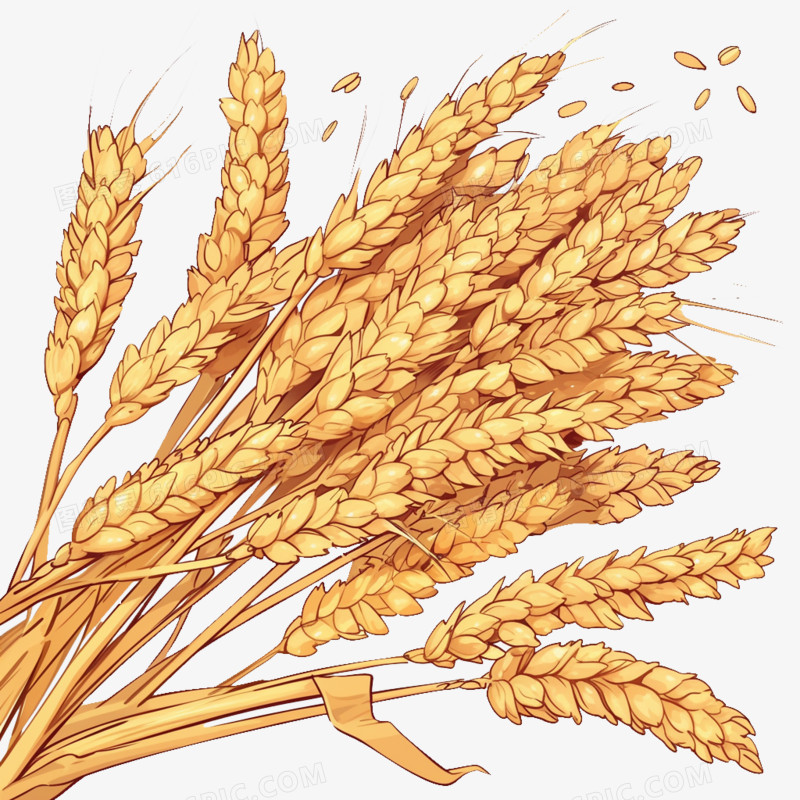 卡通风秋天的麦子免抠元素