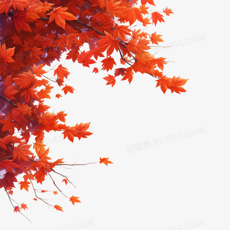 高清秋天暖色枫叶素材