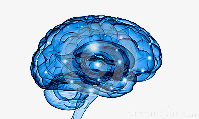 蓝色大脑