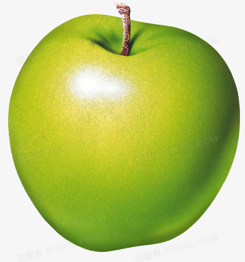 水果素描水果矢量图 精美青苹果