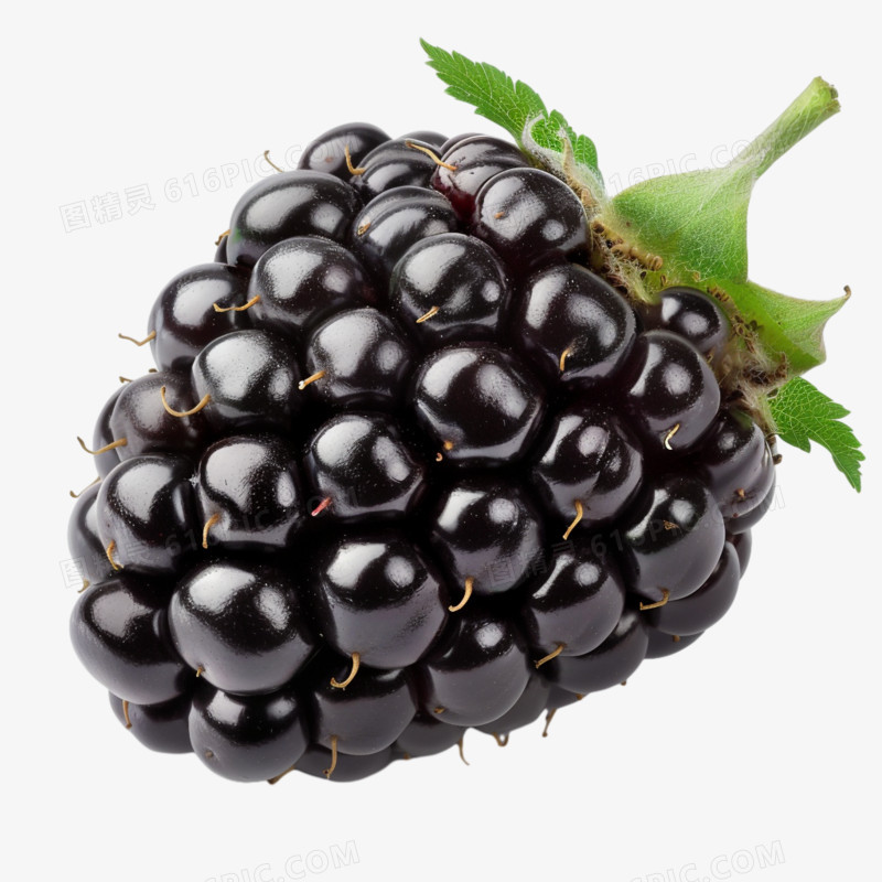 黑莓实拍免抠元素