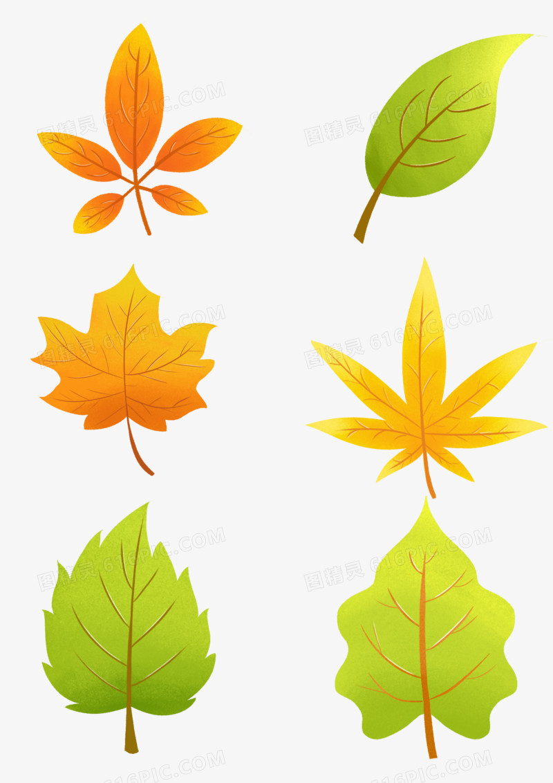 一组卡通手绘秋天树叶元素合集