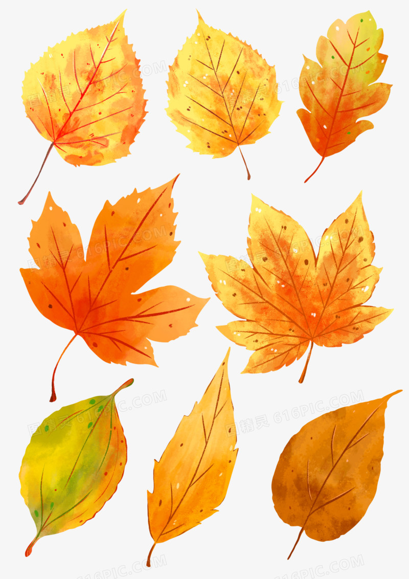一组卡通手绘秋天树叶组图元素
