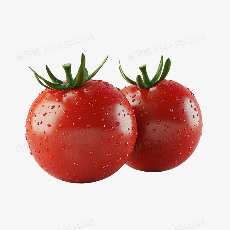 高清实拍西红柿素材