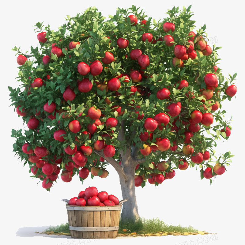 3D秋季一颗红苹果树免抠元素