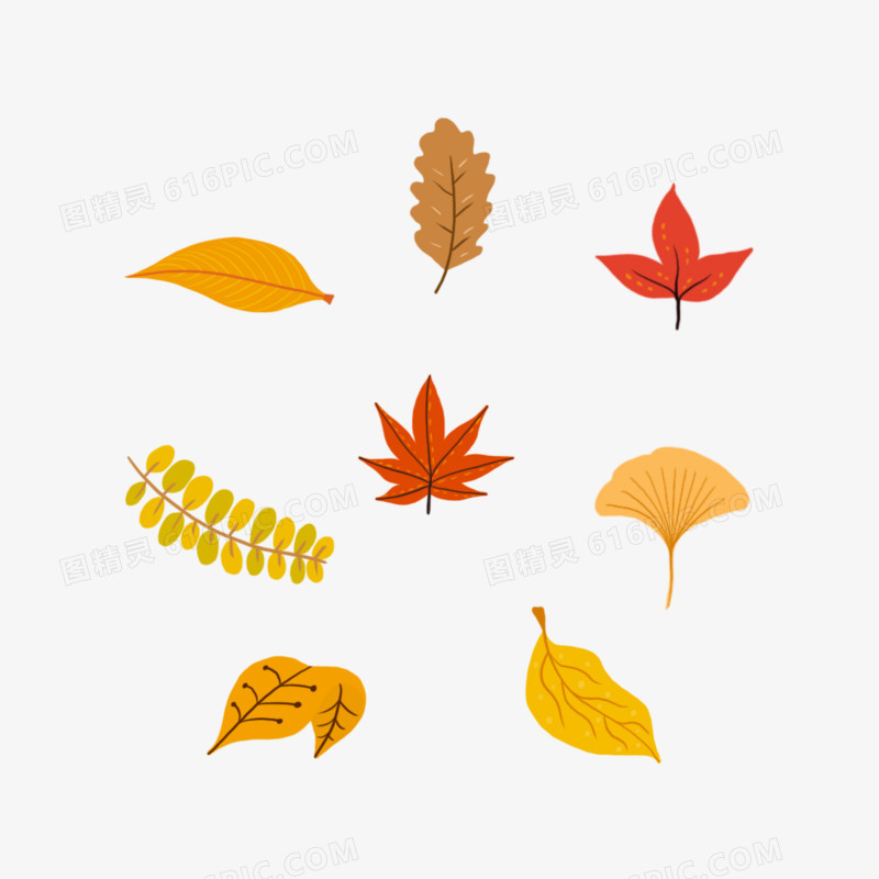 一组秋天树叶手绘组图