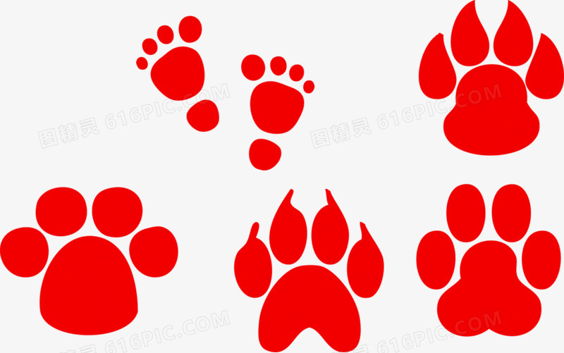 边框动物矢量保护动物儿童动物野生动物保护野生动物动物图腾脚印矢量