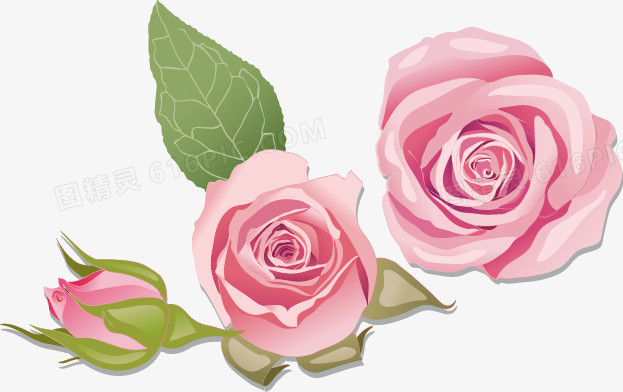 手绘粉色玫瑰花图案