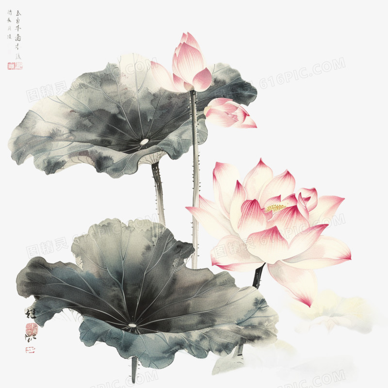 插画风荷花免抠素材