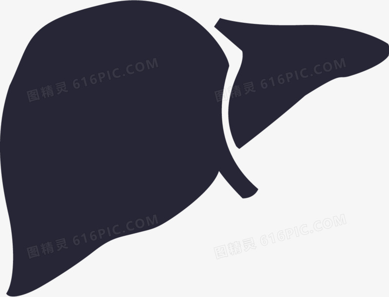 肝胆