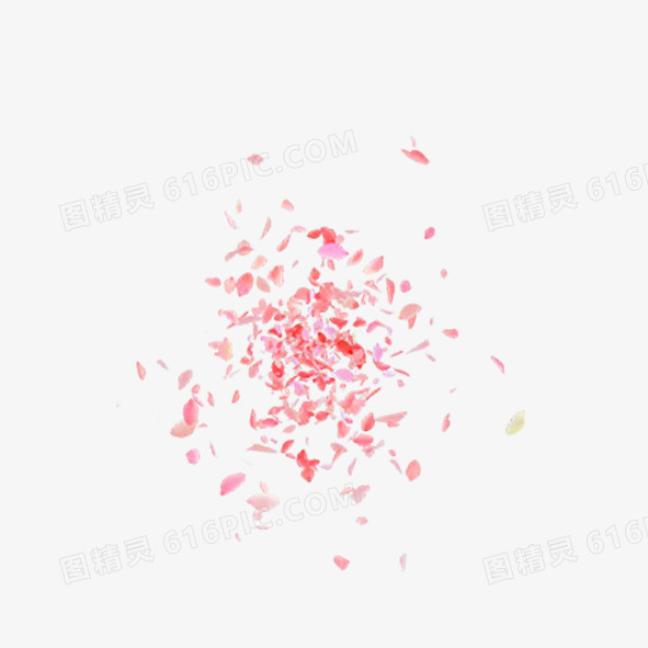 漫天尽下花瓣雨