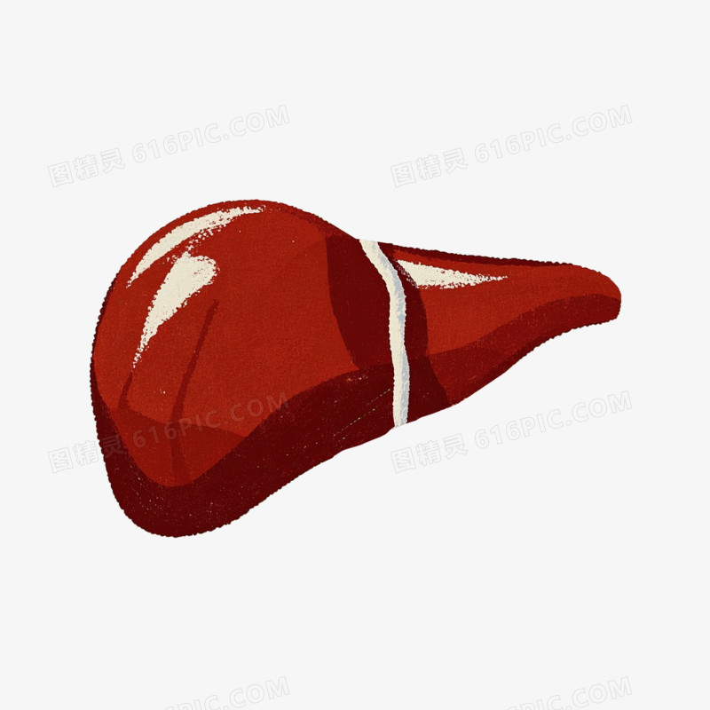卡通插画肝脏人体器官元素