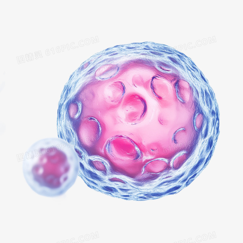 3D卡通插画风格细胞分裂融合免抠元素