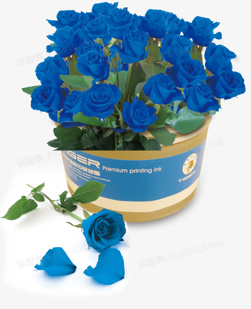 蓝玫瑰，淘宝素材，玫瑰花，情人节元素