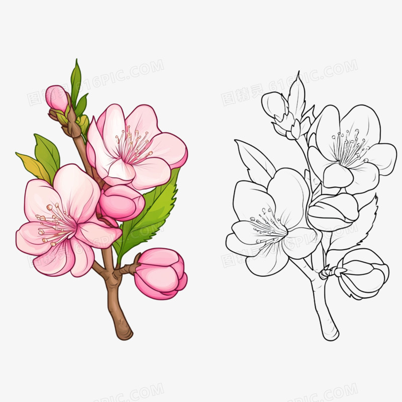 插画春天花朵樱花免抠元素