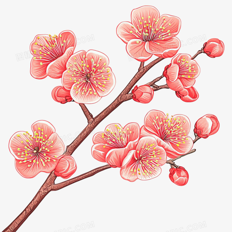 插画春天花朵樱花免抠元素