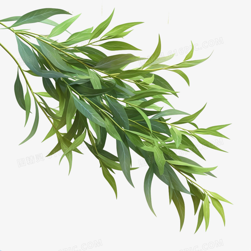 春天春季植物免抠元素