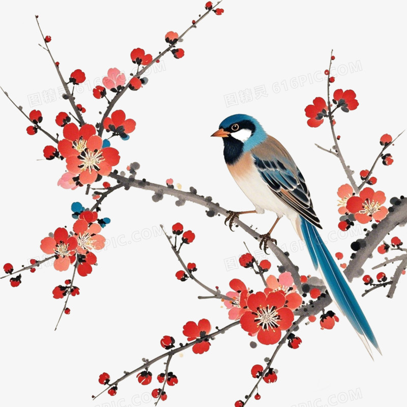 麻雀在梅花树枝上的免抠元素