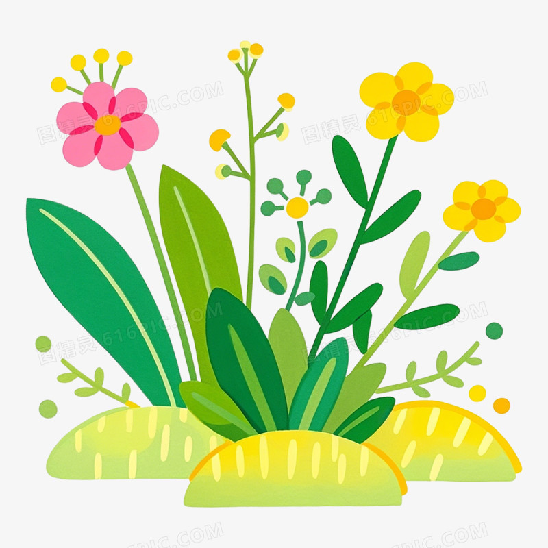 手绘小清晰植物免抠元素